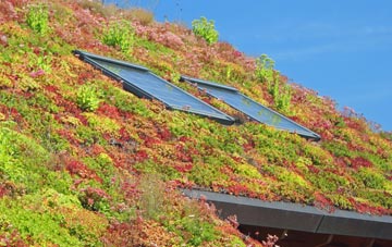 Swincombe living roof systems
